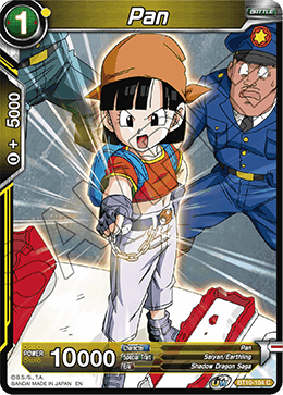 [BT10-104] Pan